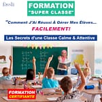 Affiche Formation de Gestion de Classe