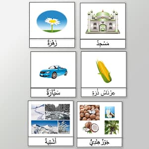 Comment Apprendre Facilement plus d'une Centaine de Mots Arabes en Images ?