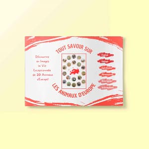 La Vie Étonnante des Principaux Animaux d'Europe!